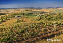 Liliac Winery景点图片