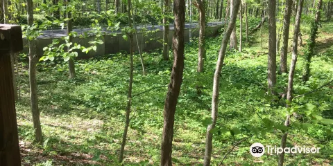 Kiusu Earthwork Burial Circles