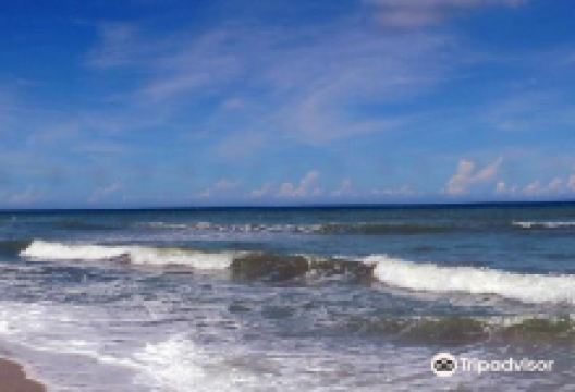 雷斯廷加国家公园景点图片