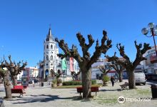 Saint Antonio Church (Reguengos de Monsaraz)景点图片