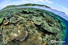 庆良间诸岛-座间味村