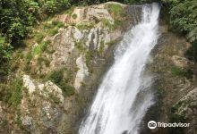 Tanglir Falls景点图片