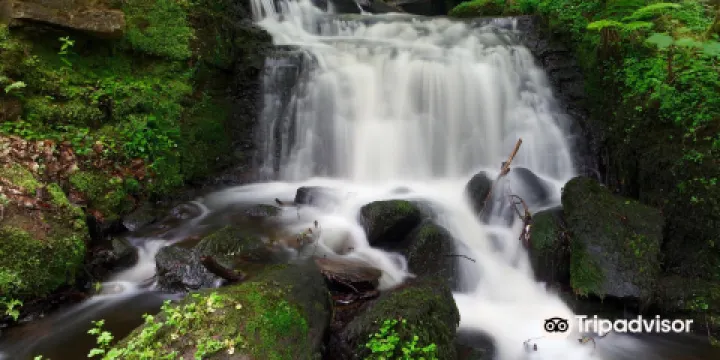 Rivelin Valley Nature Trail