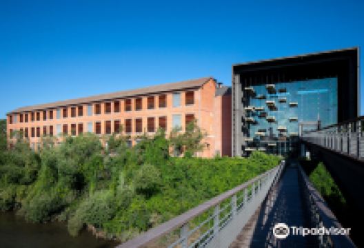 米卢斯老爷车博物馆景点图片