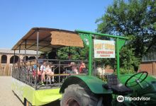 Azienda Agricola Zootecnica La Pederbona景点图片