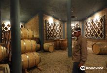 Las Arcas de Tolombon Vinedos & Bodega景点图片