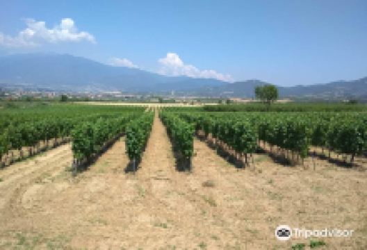 Gosaba Island景点图片