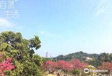 湖光山舍景点图片
