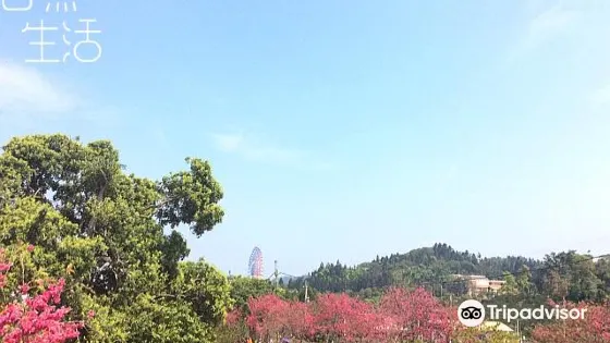 湖光山舍