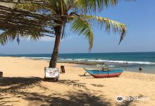 Marakolliya Beach景点图片