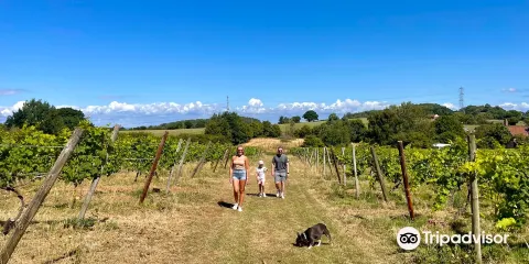 Oatley Vineyard