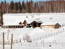 Large Animal Research Station-科利奇