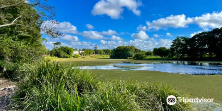Mackay Regional Botanic Gardens