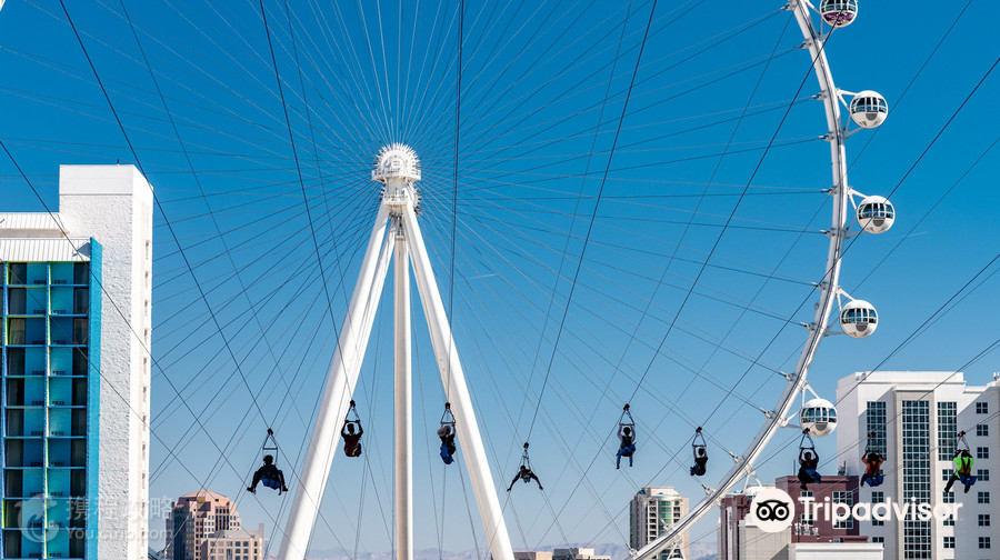 Fly LINQ Zipline