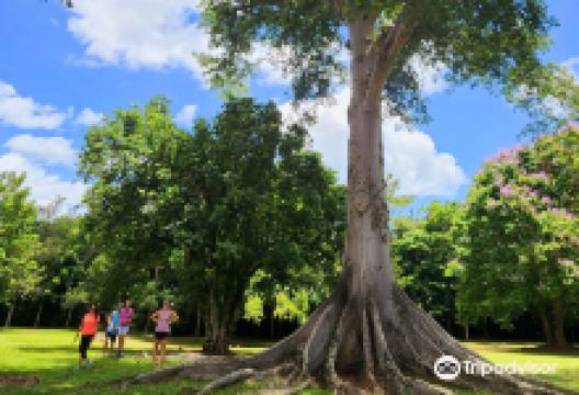 Caguana Ceremonial Indigenous Heritage Center景点图片