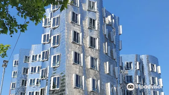 Neuer Zollhof