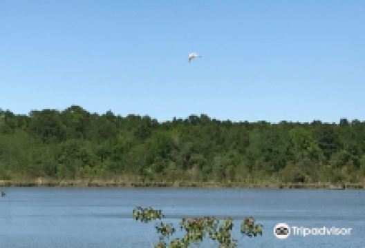 Milton "Buddy" Hopkins Nature Preserve景点图片