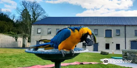 Mount Panther Farm Park