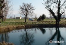 Lago Aiso景点图片