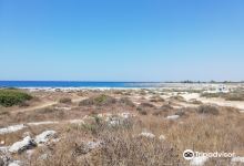 Spiaggia della Penisola della Strea景点图片