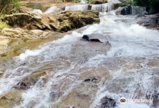 Taman Eko-Rimba Lata kinjang景点图片