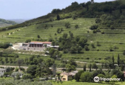 Azienda Agricola Marco Sambin景点图片