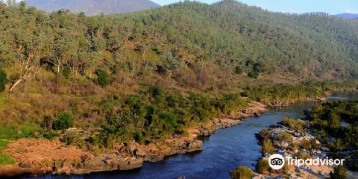 Snowy River National Park