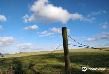 Redburn Country Park景点图片