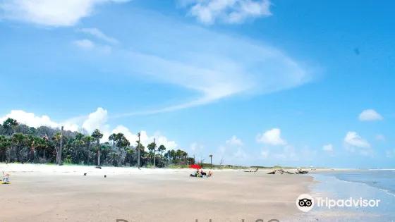 Dewees Island