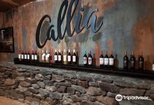 Bodegas Callia景点图片