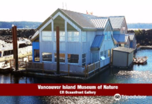 Vancouver Island Museum of Nature景点图片