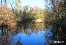 Oak Park Forest Park景点图片