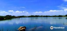 Kaggalipura Lake-班加罗尔