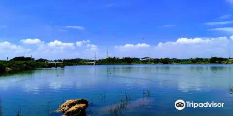 Kaggalipura Lake
