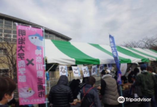 Shiokaze Arena景点图片