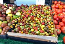 South Pasadena Farmers’ Market购物图片