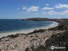 Streaky Bay Islands Caravan Park-斯特里基湾