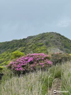 Kuju Mountains-竹田市