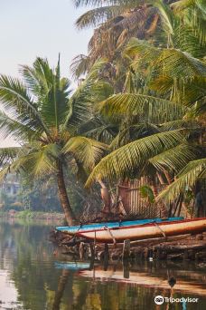 Jayasooriya lagoon boat safari service-希克杜沃