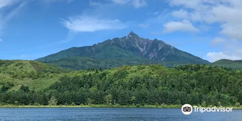 奧塔托馬里沼澤