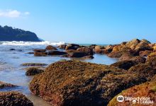Camburizinho Beach景点图片