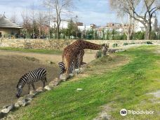 Bursa Zoo-布尔萨