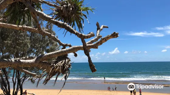 Deepwater National Park