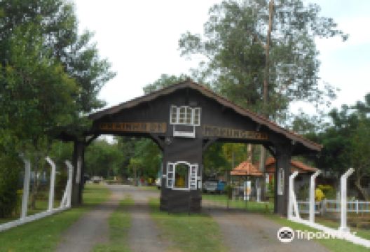 Prainha de Morungava景点图片