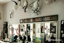 Deni Design购物图片