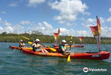Kayak Noosa景点图片