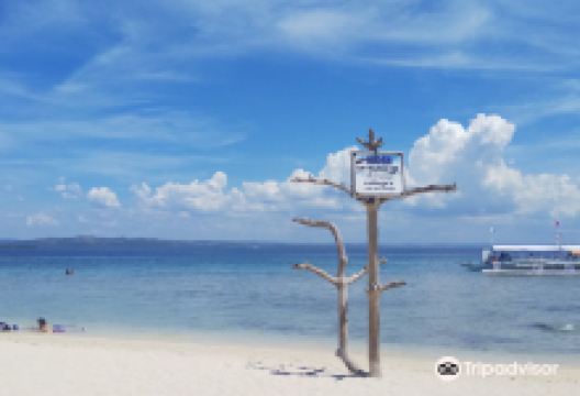 Blue Coral购物图片