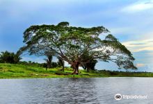 Laguna Cashibococha景点图片