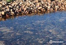 Fitzgerald Bay景点图片