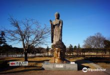 牛久大佛景点图片